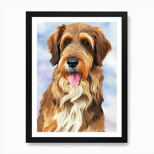Otterhound watercolour dog - otterhound,