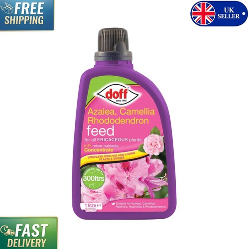 Ericaceous plant feed for - feed,