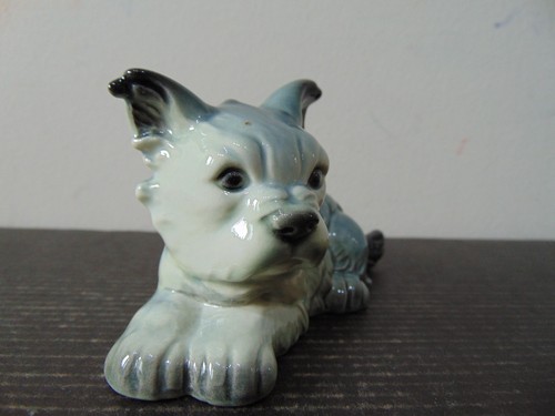 Goebel schnauzer terrier - goebel,
