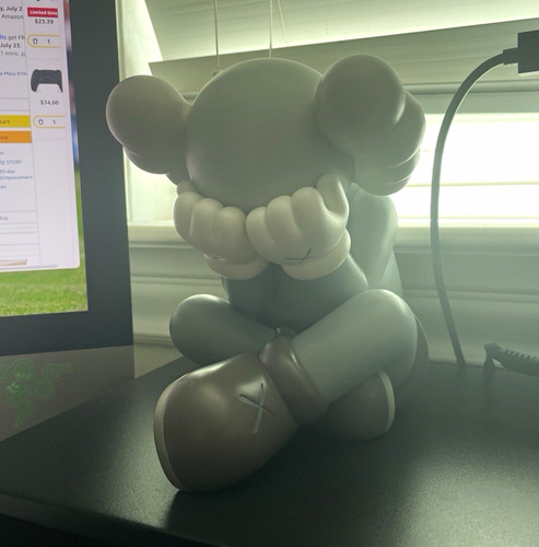 Kaws separated companion - kaws,