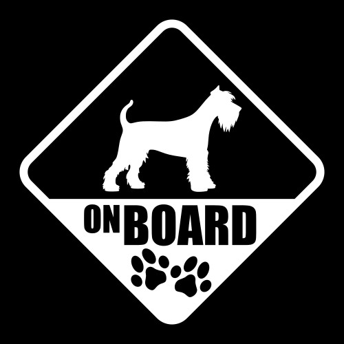 Miniature schnauzer board - schnauzer, on
