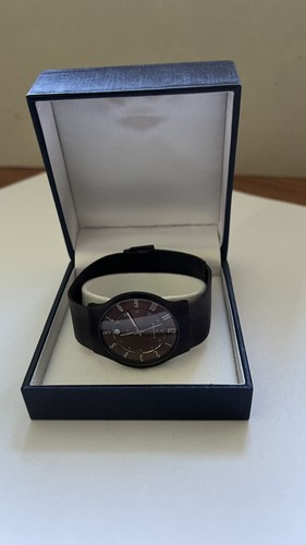 Skagen sundby titanium and - sundby,