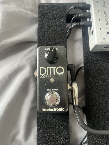 Electronic ditto looper - tc,
