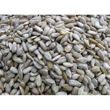 Sunflower hearts seed wild - sunflower,