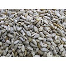 Sunflower Hearts Seed Wild Bird High Energy Food 100g 500g 1kg 2kg 4kg 10kg 20kg