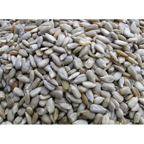 Sunflower hearts seed wild - sunflower,