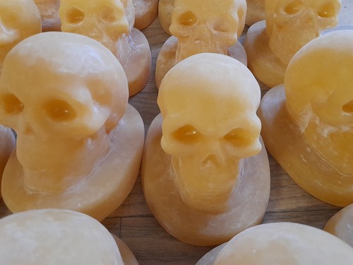 Latex skull mould - latex,