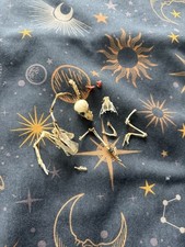 Zebrafinch Skeleton Skull