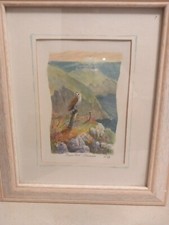 QUALITY LITTLE WATERCOLOUR BY Dez A BARN OWL ON A ROCKY CLIFF EDGE