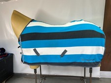 Used 5'9 John Whitaker Horse