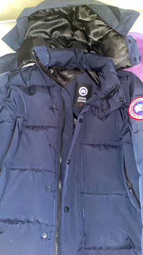 Canada goose arctic program - arctic,