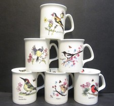 SET 6 DATA BRITISH BIRDS FINE