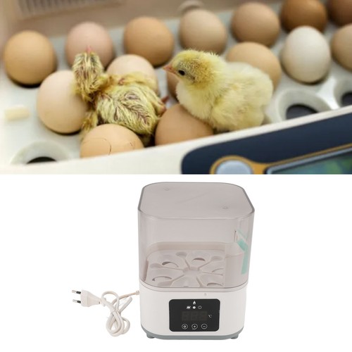 Egg incubator fully - egg,