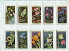 Wild Flowers "A" Series 1936 Wills Cigarette Cards - Full Set of 50 Cards