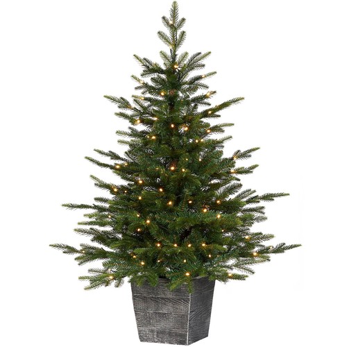 4ft pre lit grand fir - pre-lit, potted