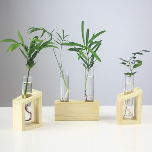 Test tube vase flower pot - vase,