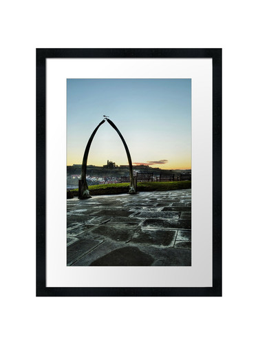 Whitby whalebone frost - frost, framed