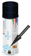 Direct Shine Paint Spray