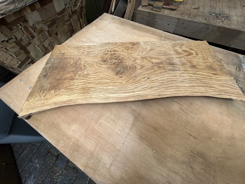 Oak timber slab 605 - slab, x