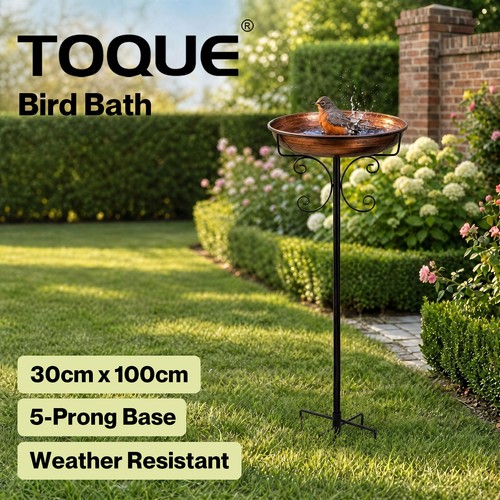 Toque metal bird - bird, bath