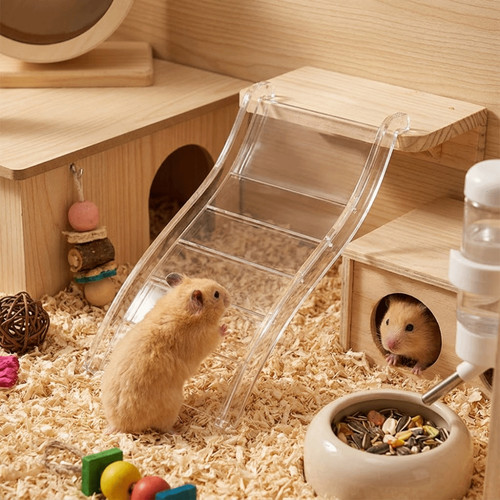 Interactive hamster climbing - interactive,