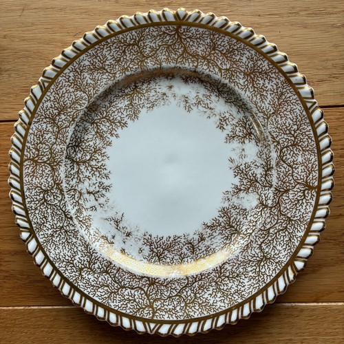 Antique worcester seaweed - antique,