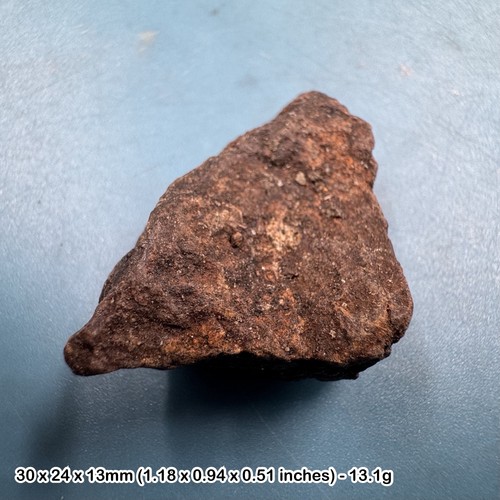 Common chondrite meteorite - h5,