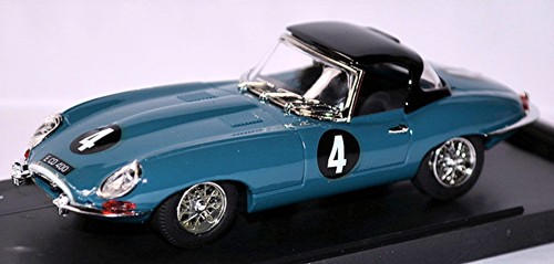 Jaguar type spider - jaguar, hard
