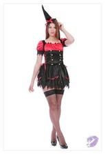 Adult Lady Raven Costume