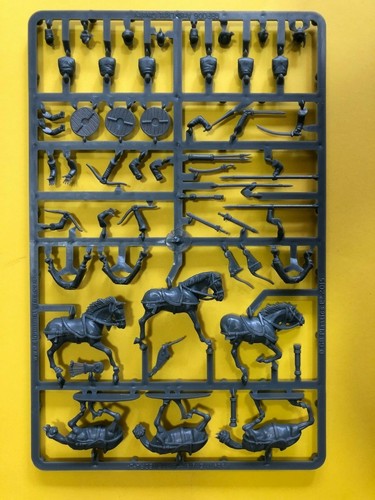 Arab light cavalry horse - arab,