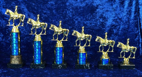 Horse rider dressage - rider,