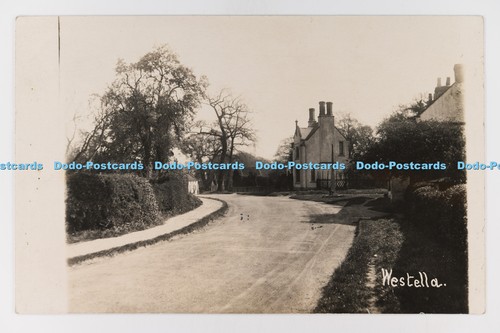 C032523 westella east - c032523,