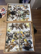 Taxidermy