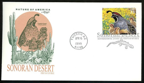 Sonoran desert gambel - sonoran, quail