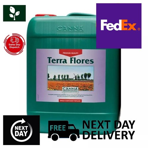 Canna terra flores - terra, bloom