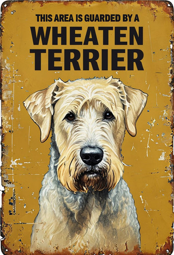 Guarded wheaten terrier - guarded, a