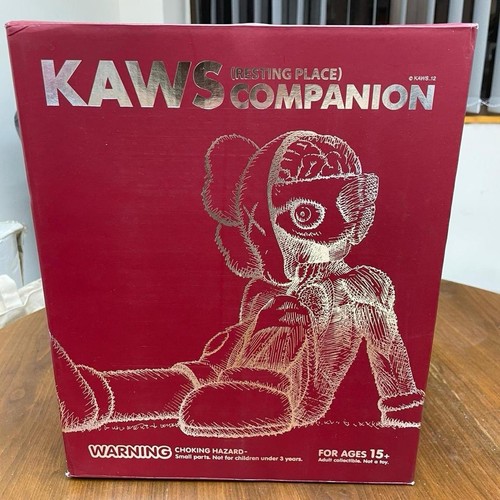 Kaws companion resting - -, place