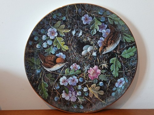 Coalport the hedgerow wren - coalport,