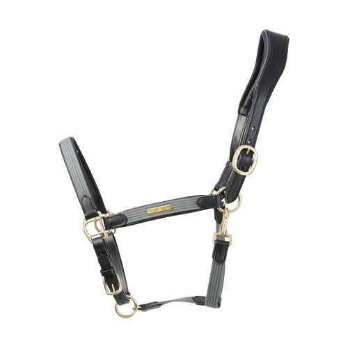 Leather headcollar coldstream - leather, headcollar,