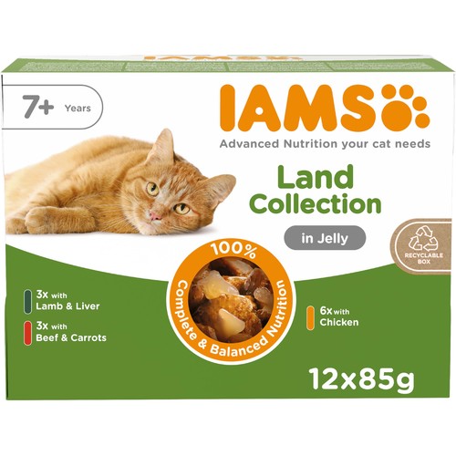 Senior wet cat food meat - cat,
