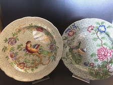 Antique Exotic Bird & Flower