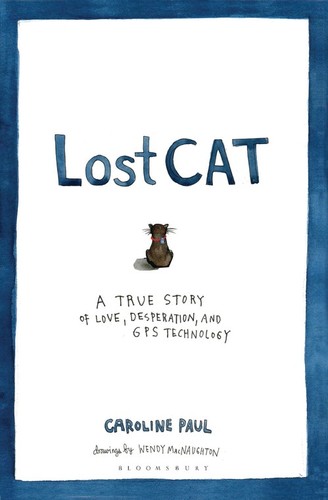 Lost cat true - lost, of