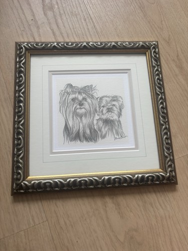 Framed dog pencil - pencil, sketch