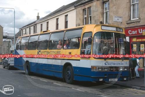 Coach photo midland bluebird - photo,