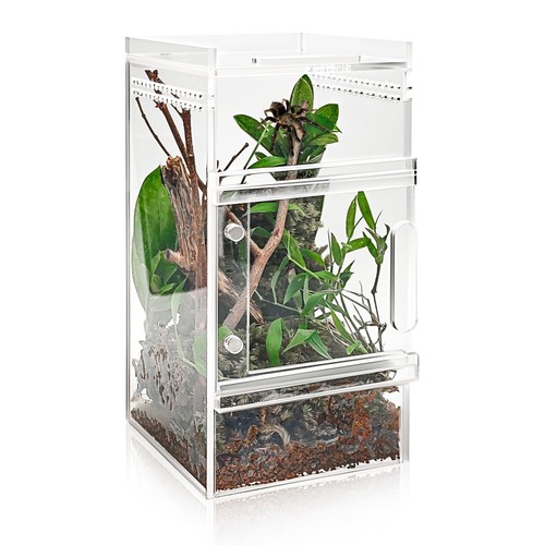 Pre assembled jumping spider - jumping,