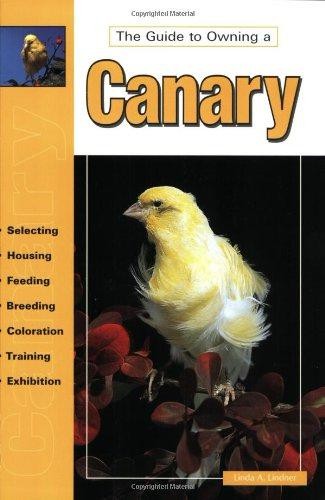 The guide owning canary - the, a
