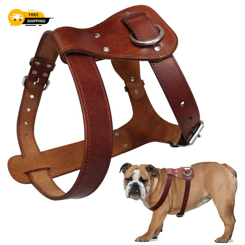 Genuine leather dog harness - genuine,