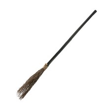 WITCH BROOMSTICK FANCY DRESS