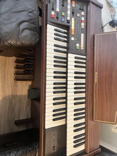 Electronic organ educational - electronic,