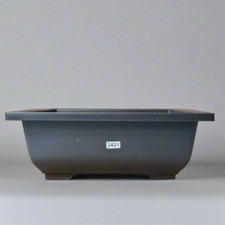 Plastic bonsai training pot - training,